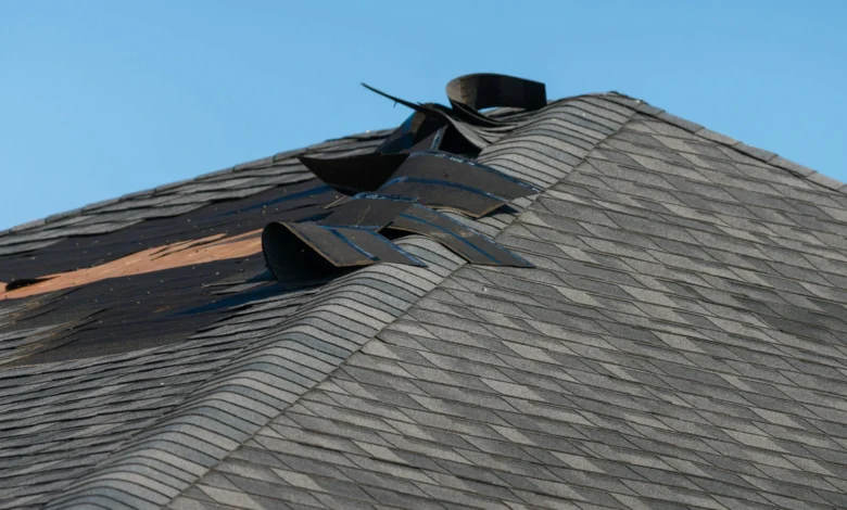 What to Do When Your Roof Shows Signs of Damage