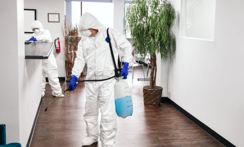 Role and Importance of a Disinfection Specialist in Modern Professional Services
