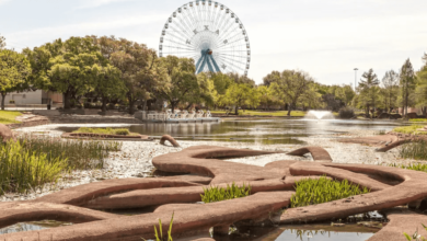 Top 3 Impressive Dallas Travel Attractions For First-Time Visitors