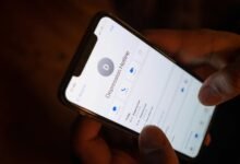 corporate hotline verification number