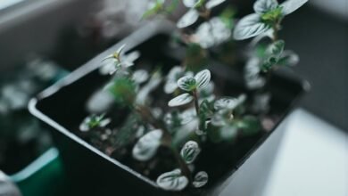 innovative problem solving strategies