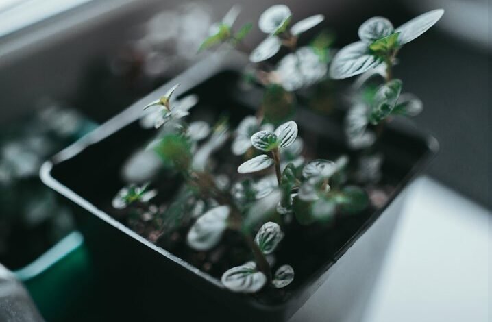 innovative problem solving strategies