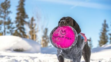 stellar hyper flow technology