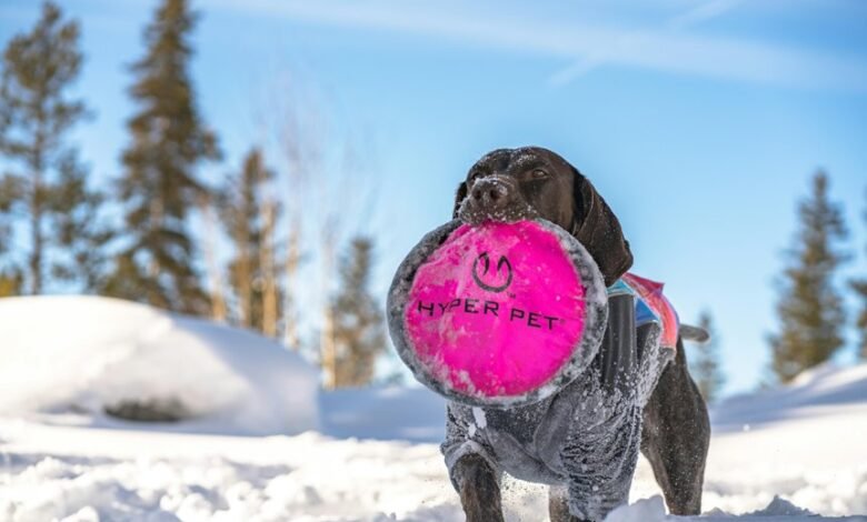 stellar hyper flow technology