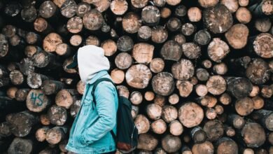 surukuku online engagement analysis