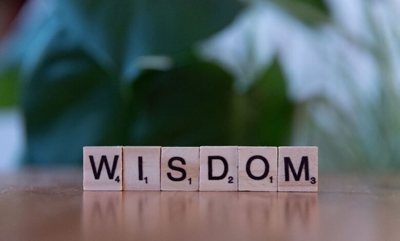 top reasons to learn ioprado25